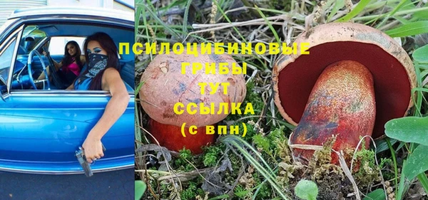 прущие грибы Алексин